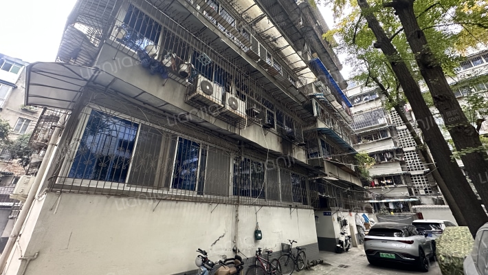 金河路73号外景图