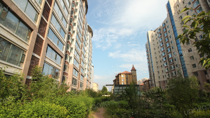 金叶樱海园外景图