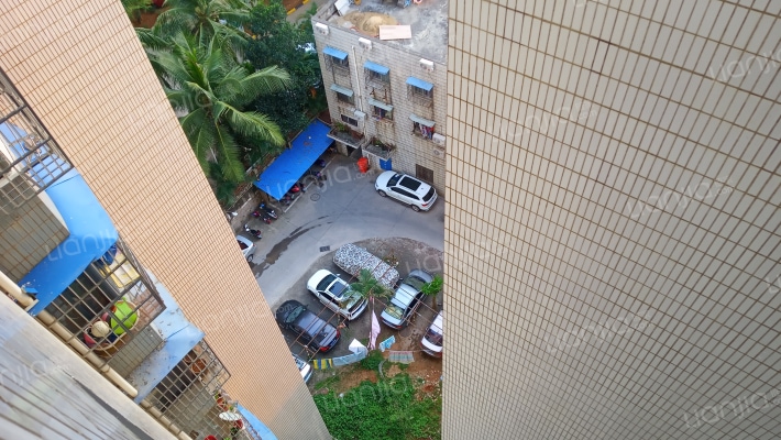 佳宝花园外景图