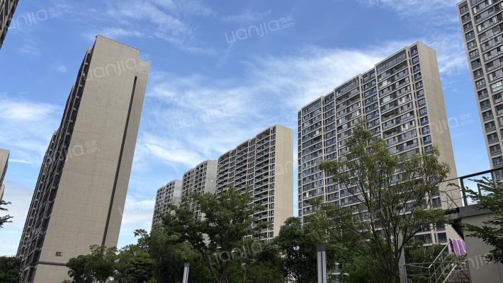 湖畔春晓花园外景图