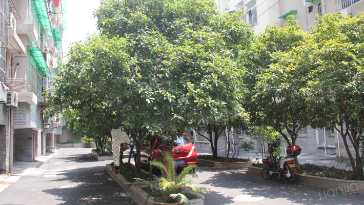 省统计局宿舍外景图