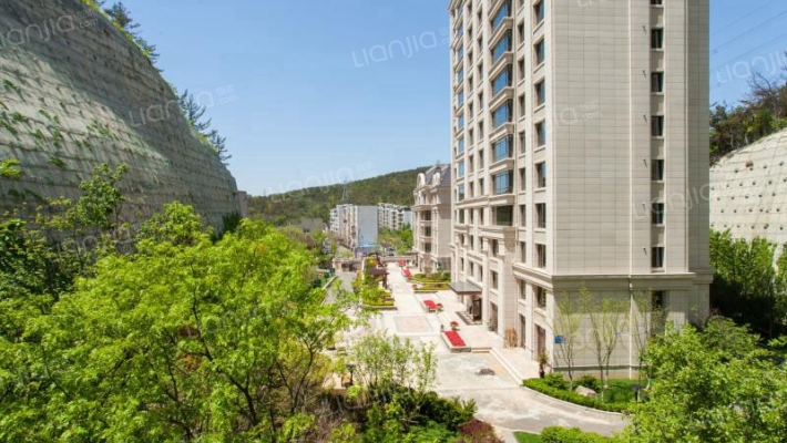 佳晟中南玖著外景图