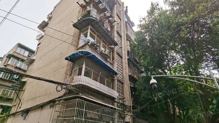 抚林巷3号外景图