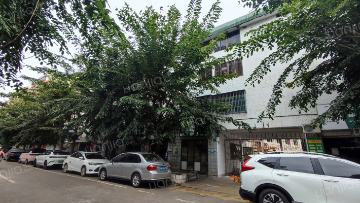 省地震局宿舍楼外景图