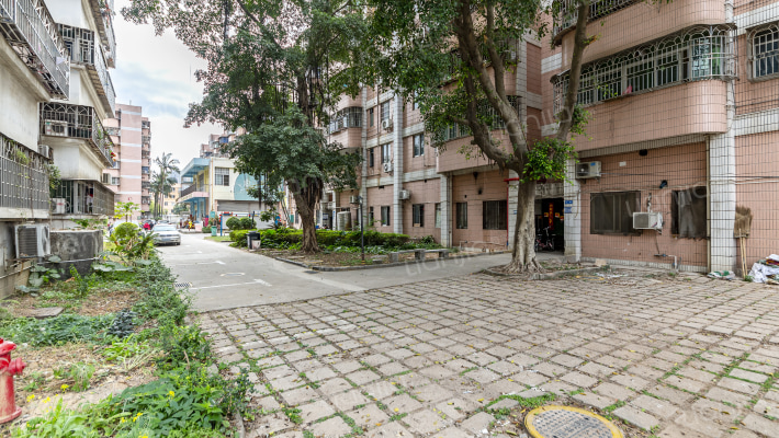 南油花园外景图