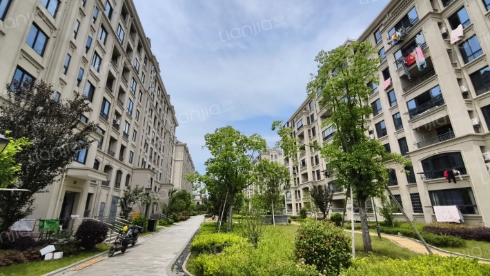 金竹人家外景图