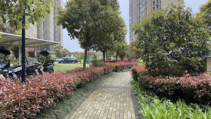 金叶名园外景图