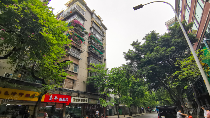 站前横路外景图