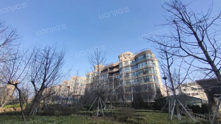 星海国际外景图