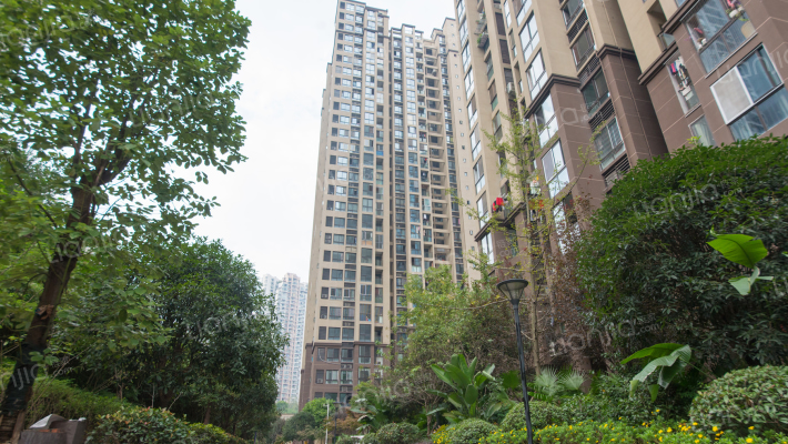 桐林逸景外景图