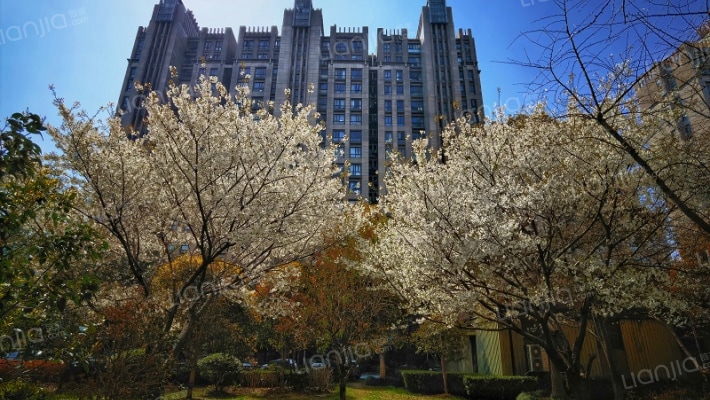 上海阳光花城房价怎么样阳光花城房源户型图小区车位交通地址详情分析