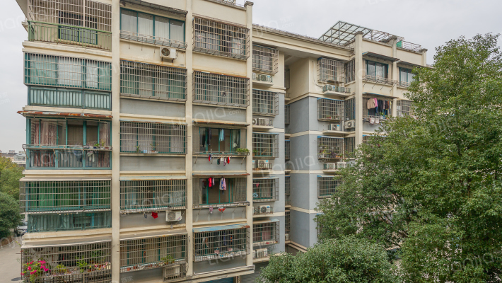 中鑫花园外景图