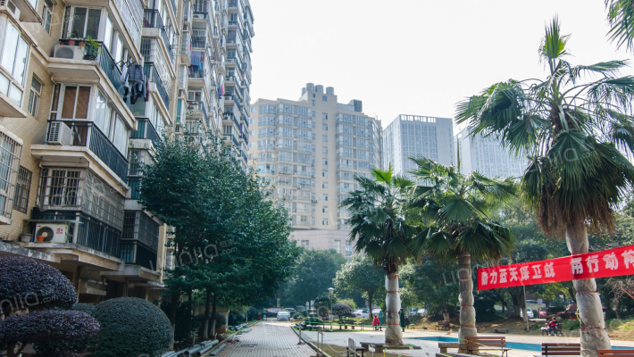 金碧文华外景图