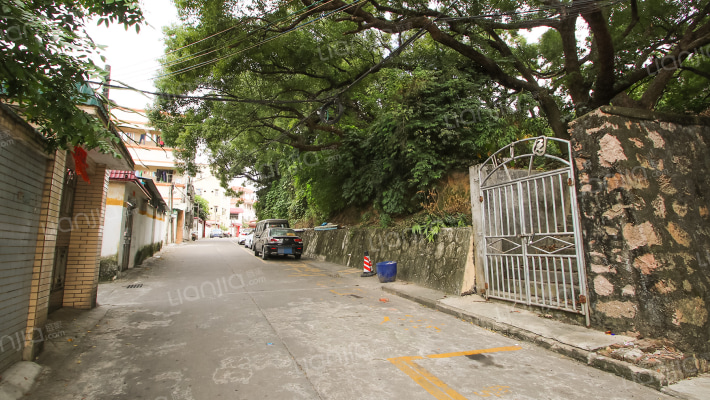 格坑新村外景图