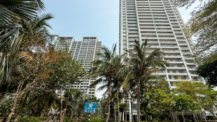 海棠中央外景图