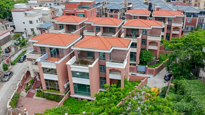 旱塘正街外景图