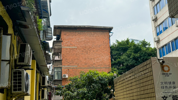 十七巷3号外景图