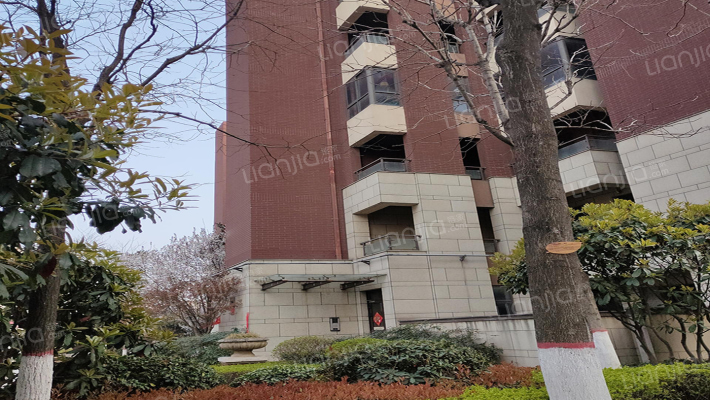 陆港金海岸外景图