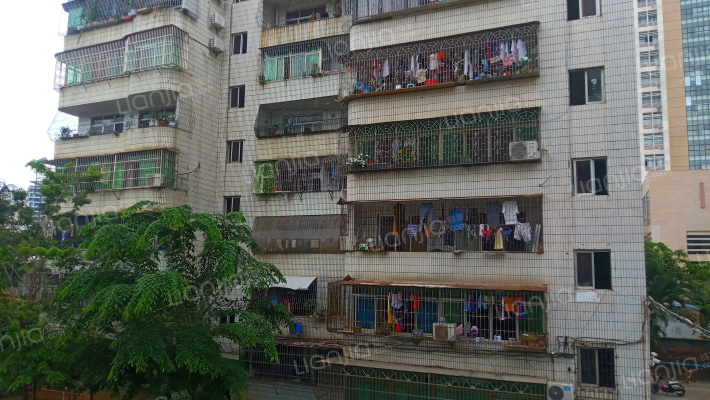 上丹花苑B区外景图