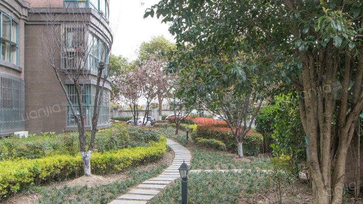 东方城市绿洲外景图