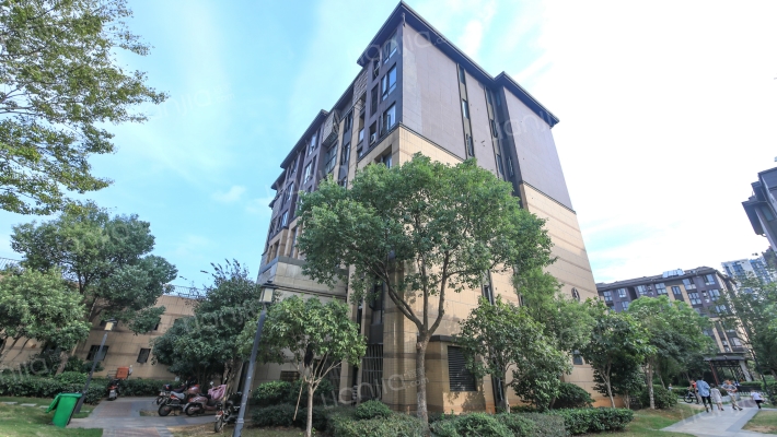 大唐世家外景图