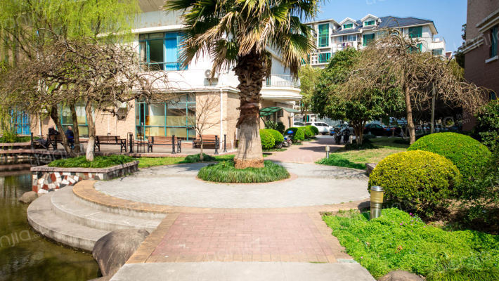 上海阳城外景图