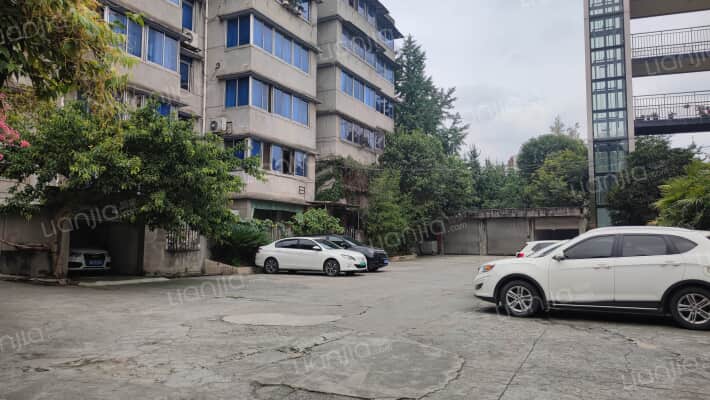 望丛中路121号附5号外景图