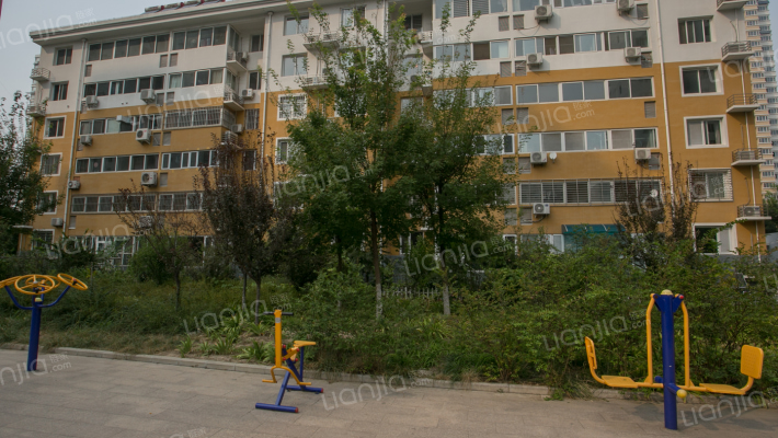 晨巍金地外景图