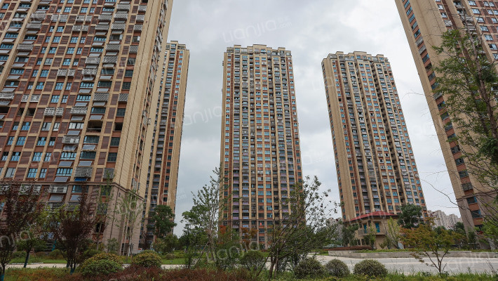 王岗家园外景图