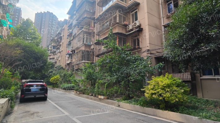 红光一区外景图