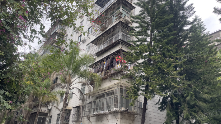 广西出入境检验检验局第二宿舍外景图