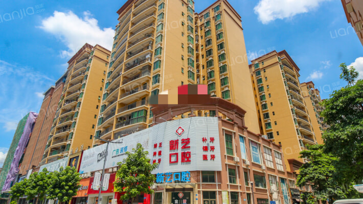 中央华府外景图