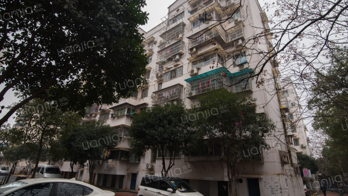 骆家坝小区外景图