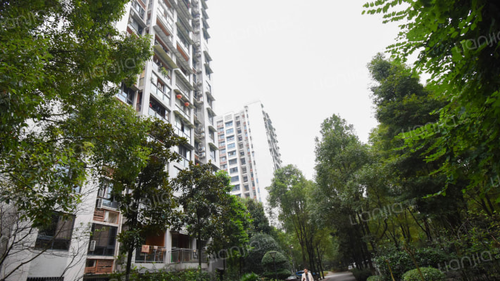 缙逸香山外景图