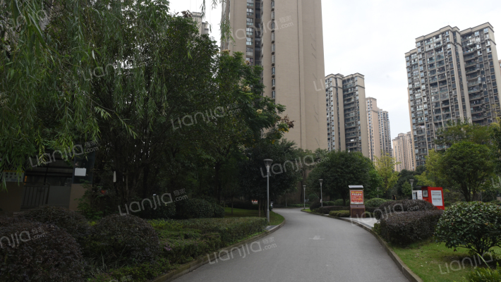 环山国际外景图