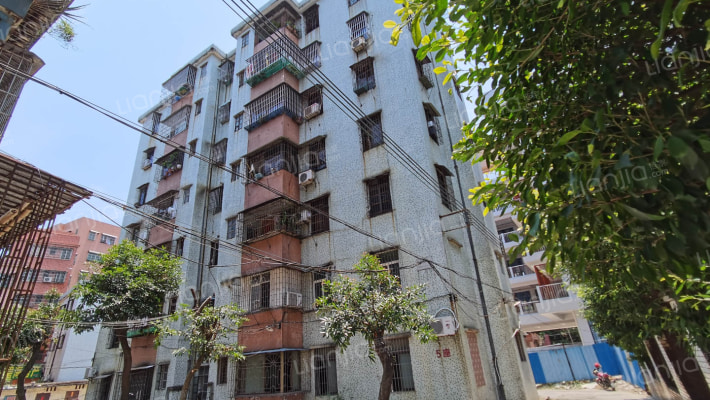 星河路18号外景图