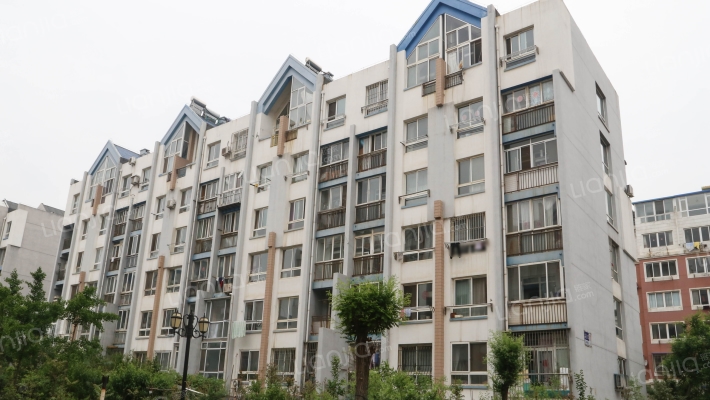 新港家园外景图