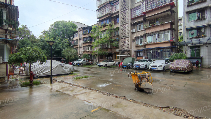 长柏路79号外景图