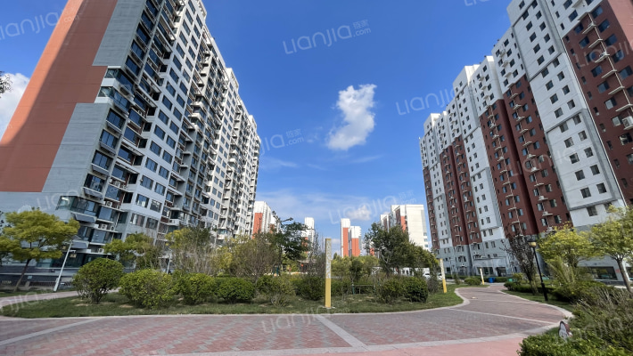 旺峰铜雀外景图