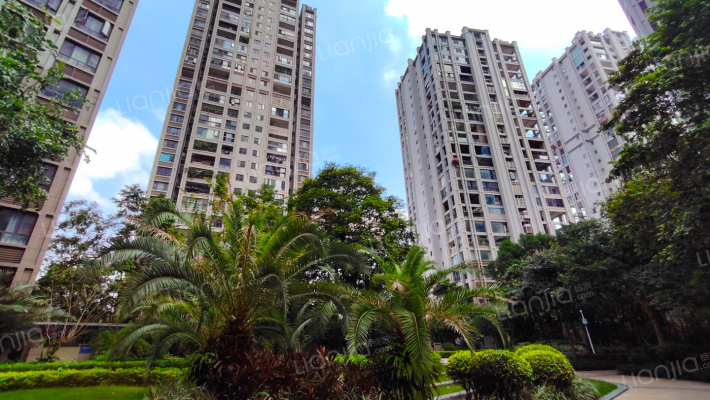 金源一品外景图