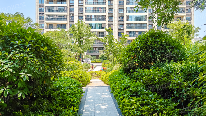 碧桂园凤凰台外景图