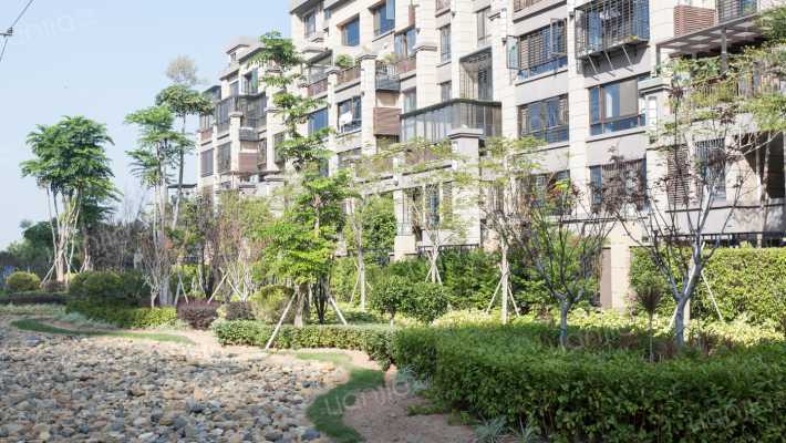 宝嘉誉园外景图