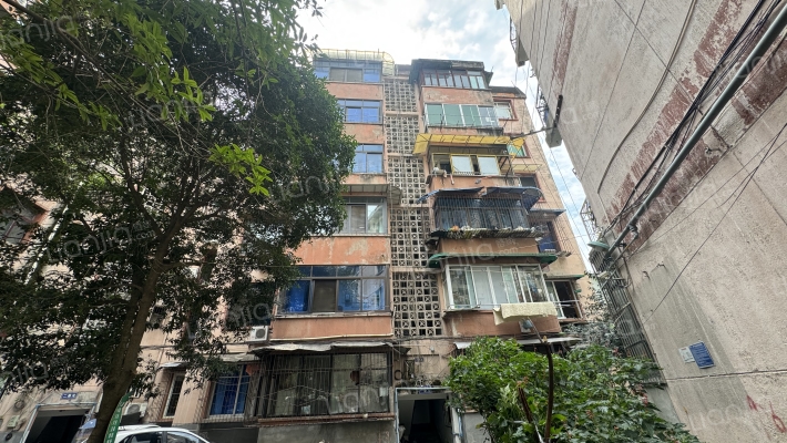 正西街95号外景图