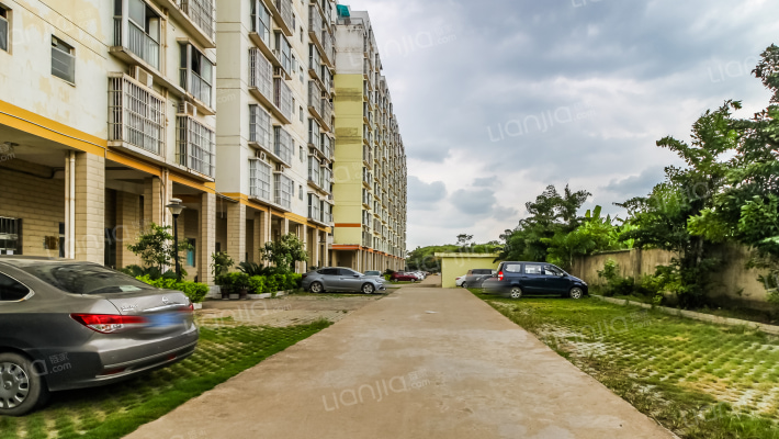 棕榈印象外景图