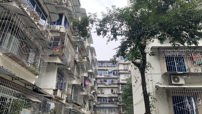 新源巷2号外景图