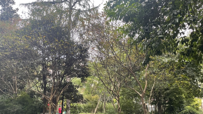 玉林横街21号外景图