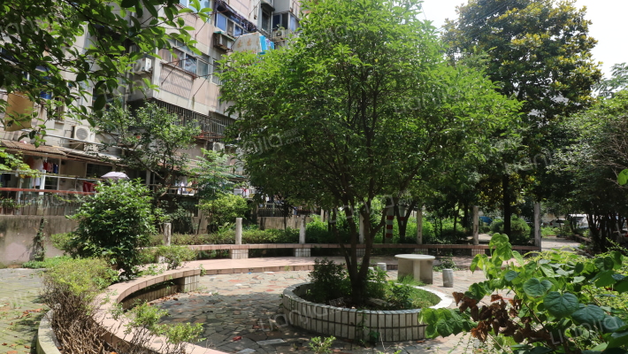 南京金陵新八村小区 金陵新八村详细信息 二手房 租房 小区顾问 南京链家