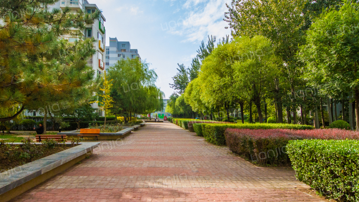 北京青年城外景图