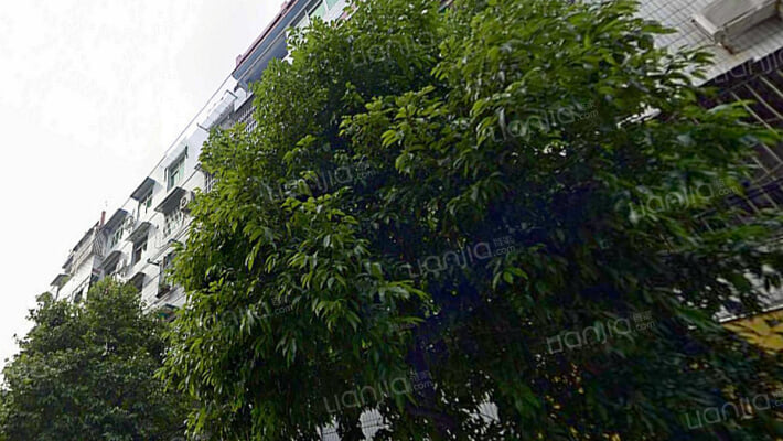 静雅小区外景图