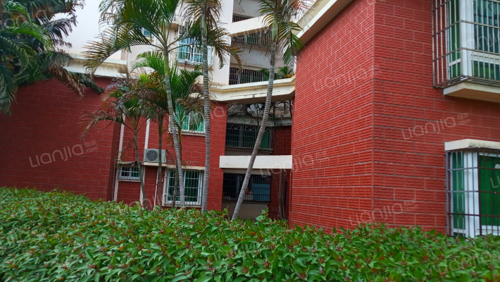 海职院电大宿舍外景图